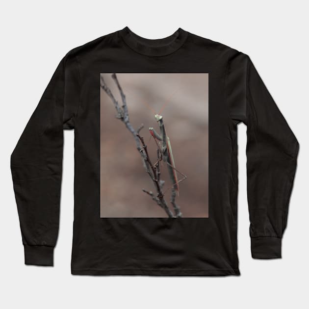 praying mantis Long Sleeve T-Shirt by bunlinked